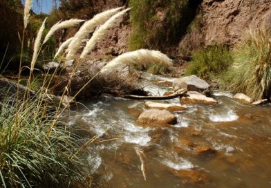 Comunicado: “DOH INSISTE EN REANUDAR “LIMPIEZA” DEL RÍO EL CARMEN PESE A HABER RECONOCIDO IMPACTOS Y AFECTACIONES GRAVES, INCLUSO POSIBLE CONFIGURACIÓN DE DAÑO AMBIENTAL”