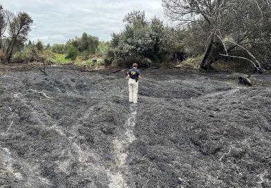 PDI ATACAMA REALIZA DILIGENCIAS INVESTIGATIVAS POR INCENDIOS QUE AFECTAN A FREIRINA