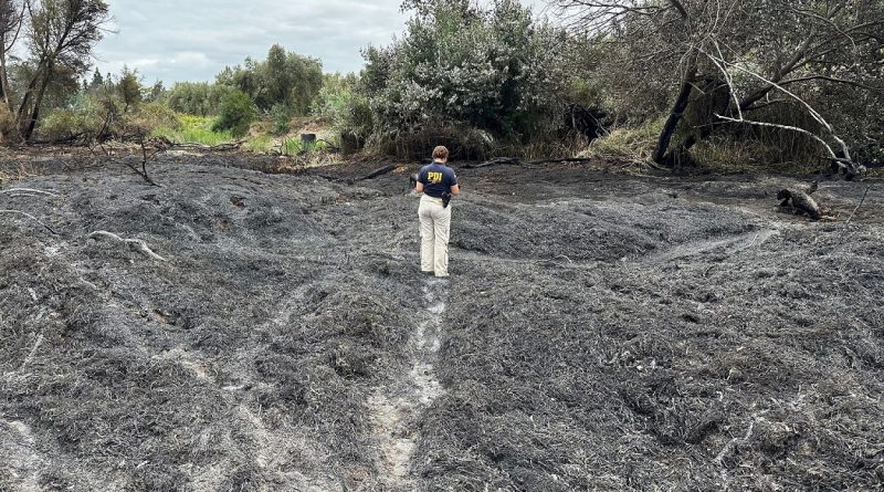 PDI ATACAMA REALIZA DILIGENCIAS INVESTIGATIVAS POR INCENDIOS QUE AFECTAN A FREIRINA